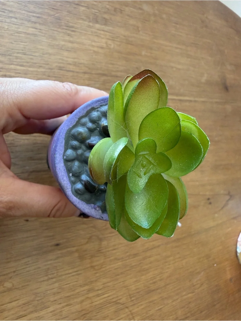 Hobby Lobby Gradient ombré Mini Succulent Planters